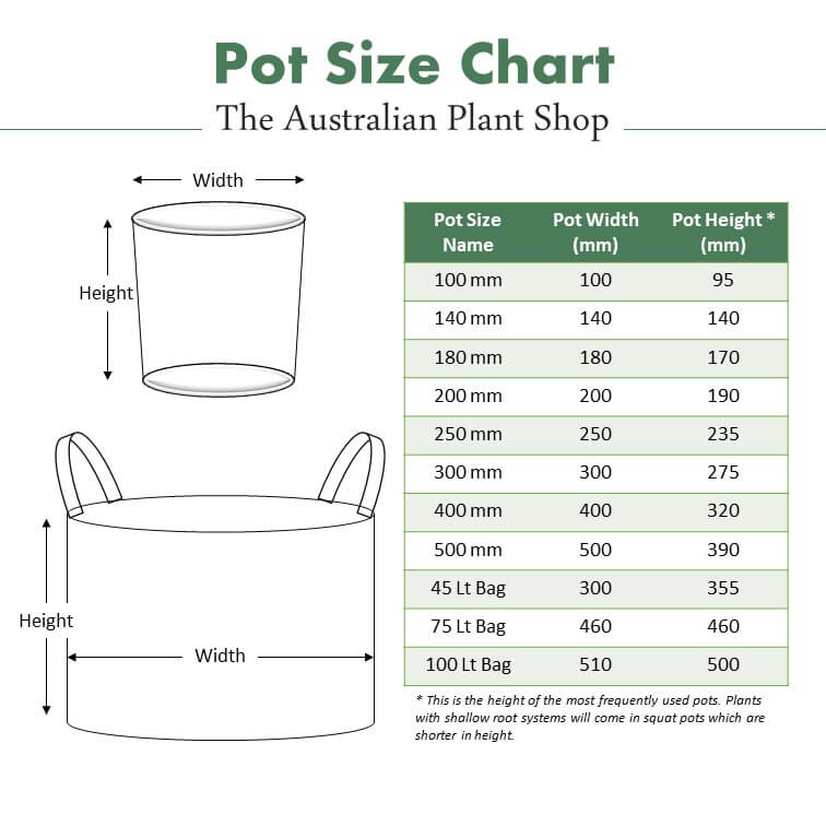 The Australian Plant Shop Pot Size Chart