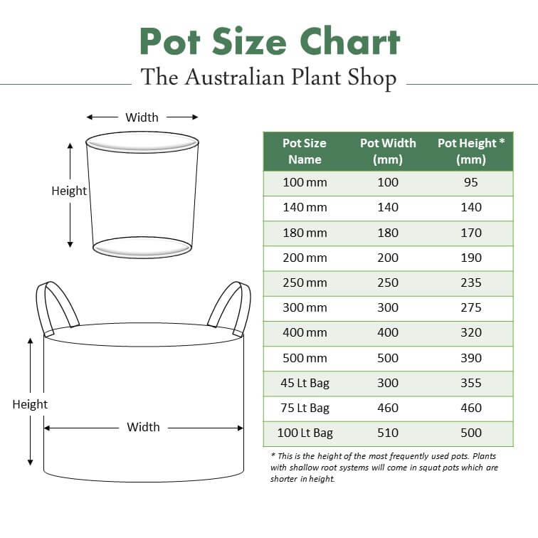 The Australian Plant Shop Pot Size
